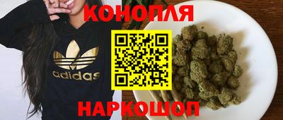 бошки Будённовск