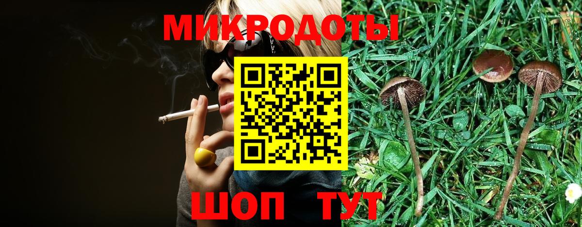 Галлюциногенные грибы Cubensis Красный Сулин